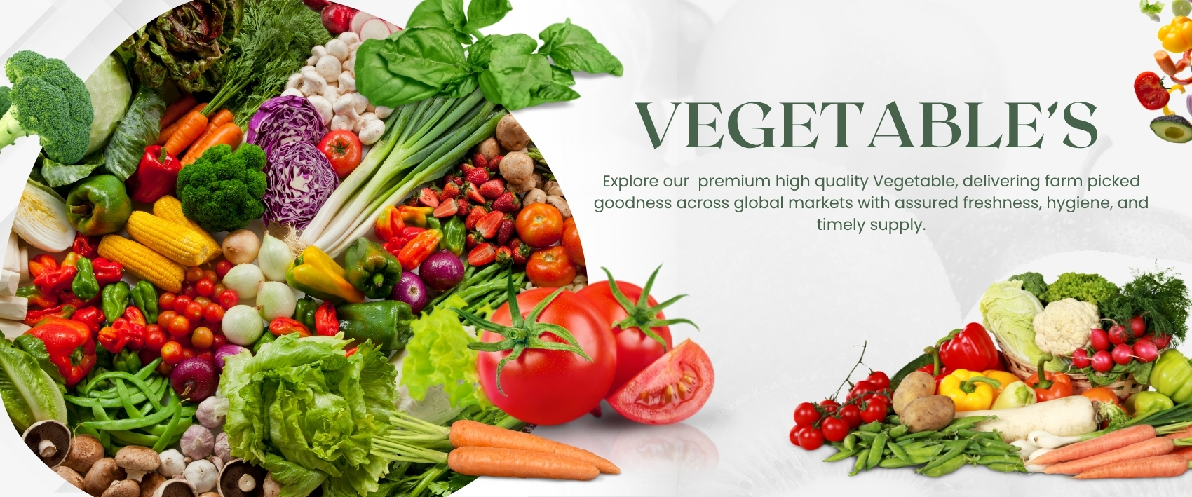Vibrant flowers and lush greenery - Leading and best Business Solutions